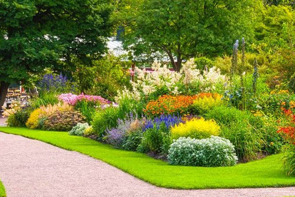 Concorde Élevé Whitefield - Amenity